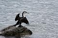 2007 04 23 Coromandel Peninsula 001_DXO